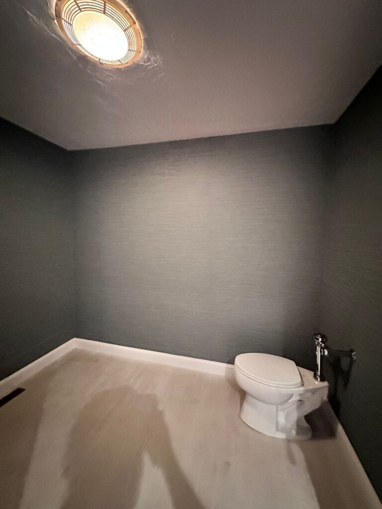 Professional Painting Work