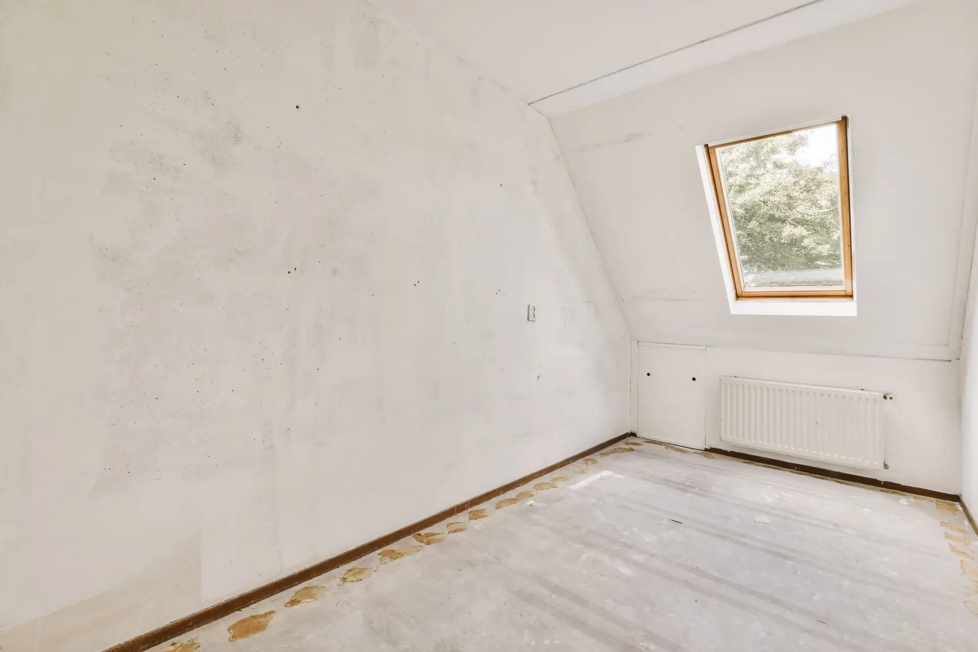 How to Remove Mold from Painted Walls Safely?